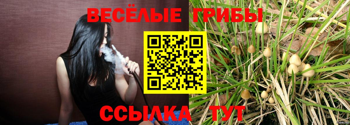 Псилоцибиновые грибы мухоморы  Галлюциногенные грибы Magic Shrooms  Рыбинск  продажа наркотиков  Вход с VPN 